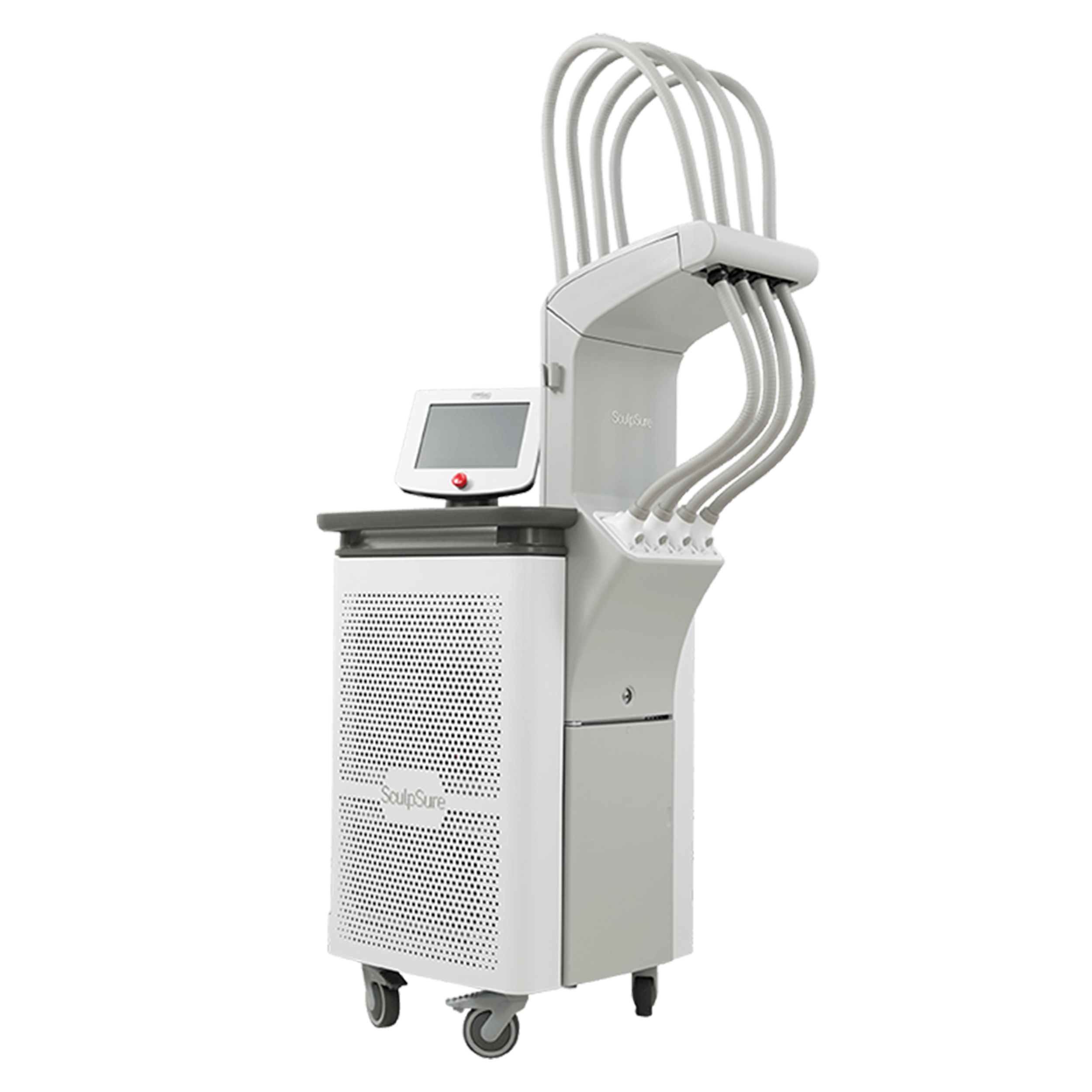 SCULPSURE